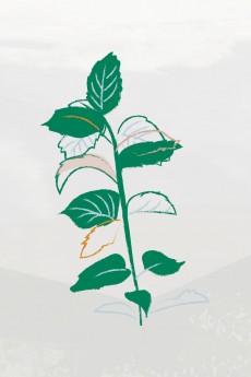 Menthe verte