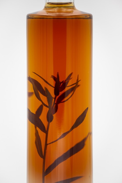 Vinaigre de cidre à l'Estragon