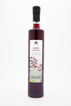 Mûre Sauvage 2