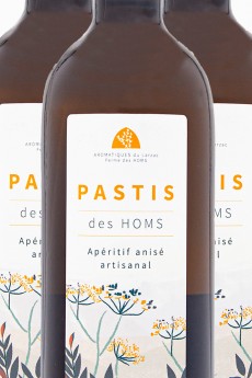 Pastis des Homs x 6