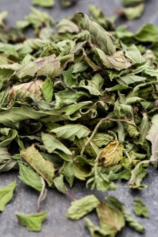 Menthe poivrée 2