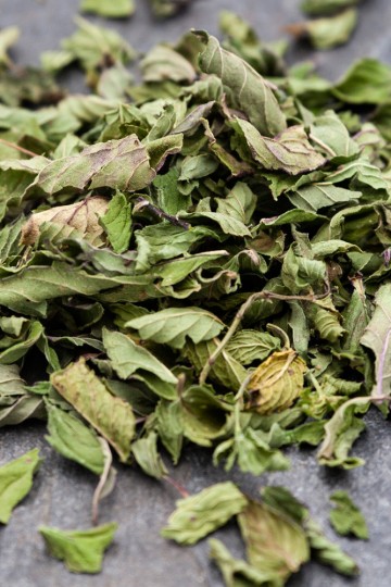 Menthe poivrée