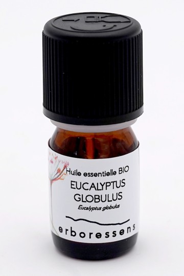 Huile essentielle de Eucalyptus globulus