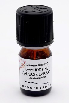 Huile essentielle de Lavande fine sauvage du Larzac