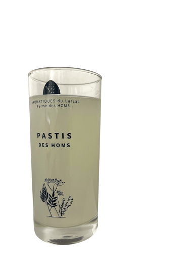 Verre Pastis des Homs