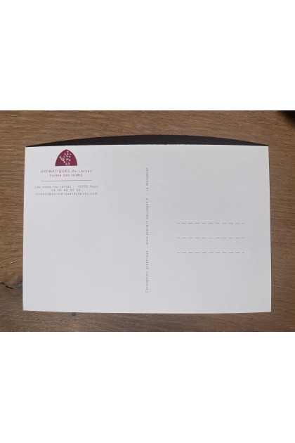 Carte postale Genièvre