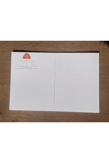 Carte postale Fenouil