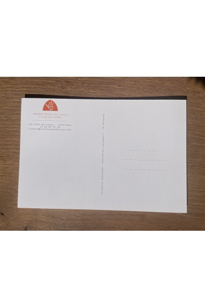 Carte postale Fenouil