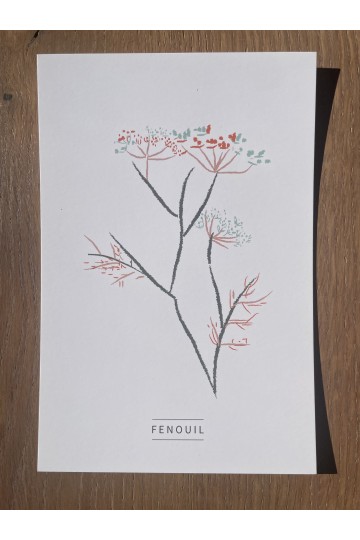 Collection de 6 cartes postales