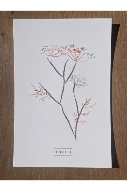 Collection de 6 cartes postales