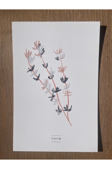 Collection de 6 cartes postales