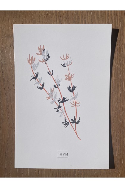 Collection de 6 cartes postales