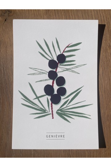 Collection de 6 cartes postales