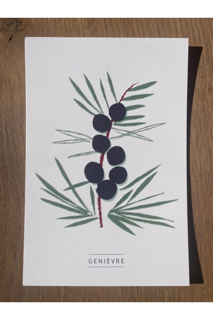 Collection de 6 cartes postales