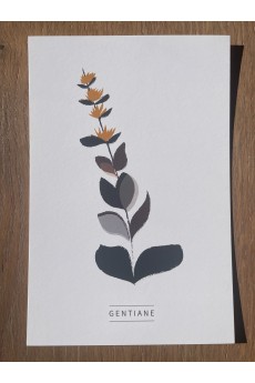 Collection de 6 cartes postales 2