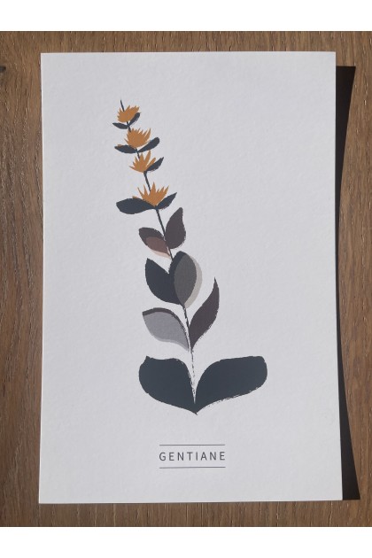 Collection de 6 cartes postales