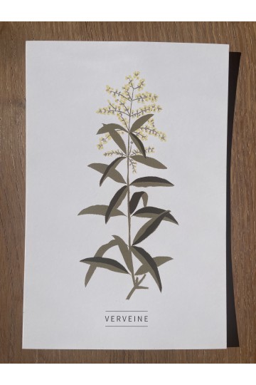 Collection de 6 cartes postales