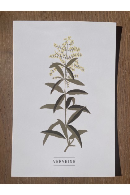 Collection de 6 cartes postales